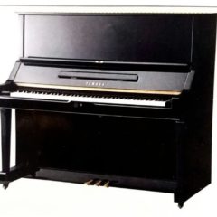 ヤマハ Xの本気